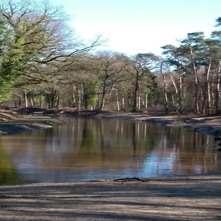 In Near Nature Reserves *