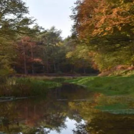 Chalet In Near Nature Reserves *