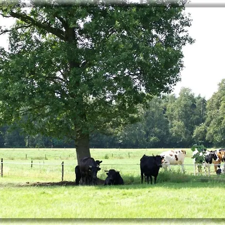 In Near Nature Reserves Chalet Hengelo (Gelderland)