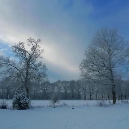 In Near Nature Reserves * Hengelo (Gelderland)
