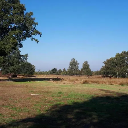 Chalet In Near Nature Reserves