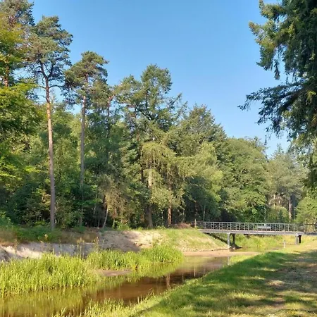 In Near Nature Reserves *