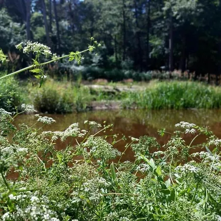 In Near Nature Reserves